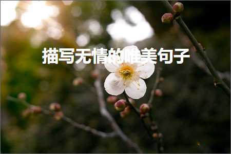 褰㈠鐭ュ繁榛樺鐨勫敮缇庡彞瀛愶紙鏂囨436鏉★級